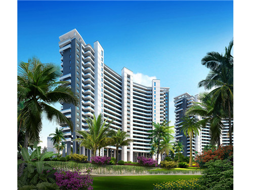 大牌牛雪花牛腩火锅