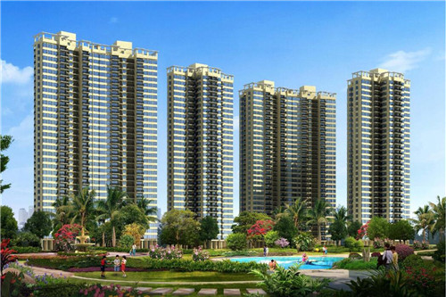 驴先生驴肉养生面