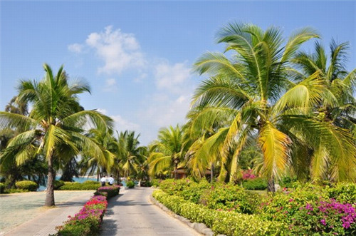 小泽生煎品牌的发展情况如何