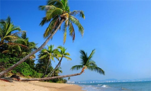 清炒彩椒孕妇可以吃吗有营养吗（清炒彩椒做法）